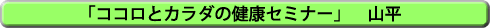 「ココロとカラダの健康セミナー」 山平